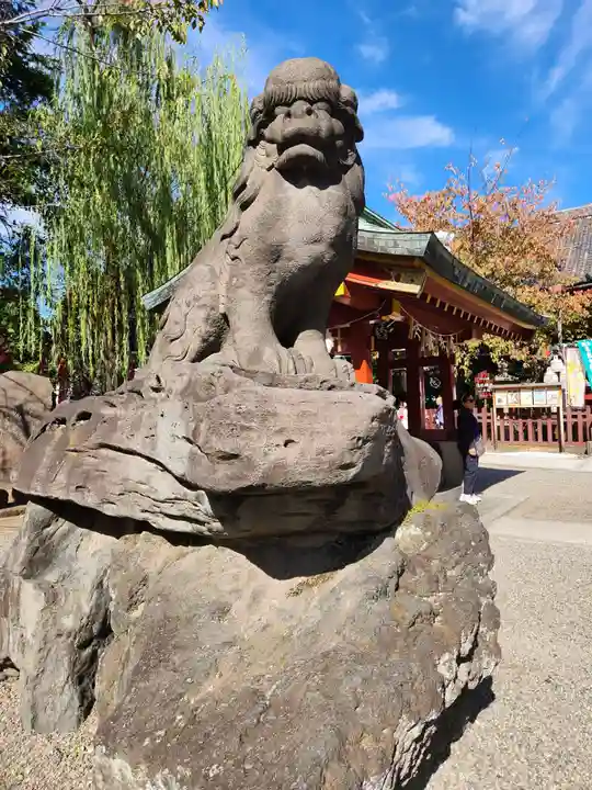 浅草神社の狛犬