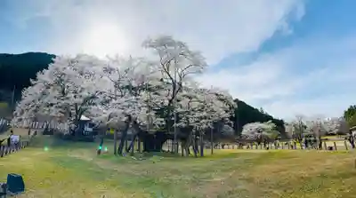淡墨観音の御朱印