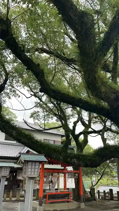 導きの神大牟田熊野神社のその他建物