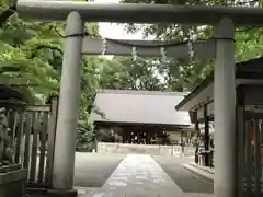 乃木神社の鳥居