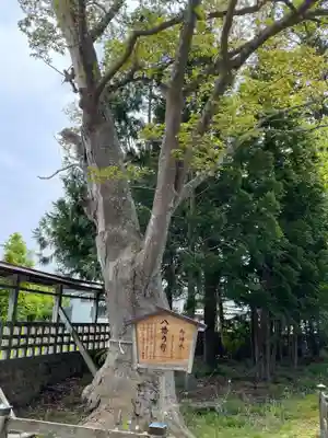 大畑八幡宮(青森県)