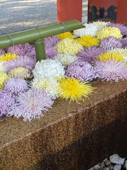 鶴岡八幡宮の手水舎