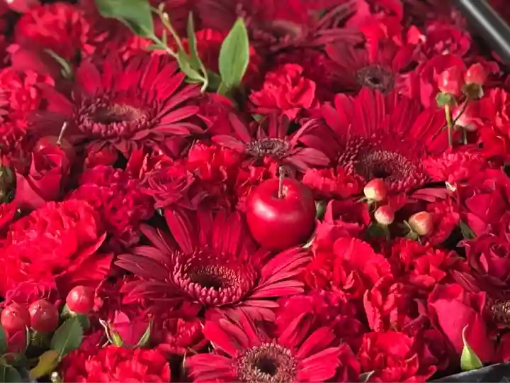 帯廣神社の手水舎
