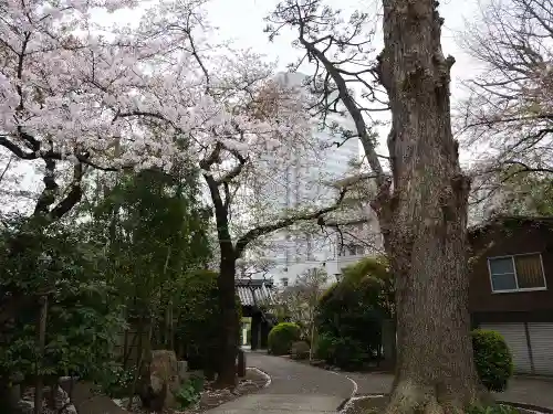 無量寺の景色