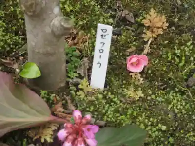 大巧寺(神奈川県)