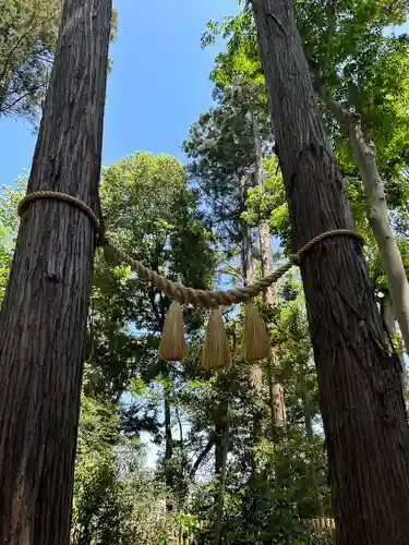 岩槻久伊豆神社の自然