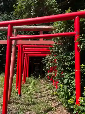 糠塚稲荷大明神(京都府)