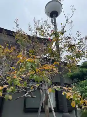 春慶院(東京都)