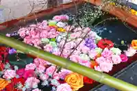 三津厳島神社の手水舎