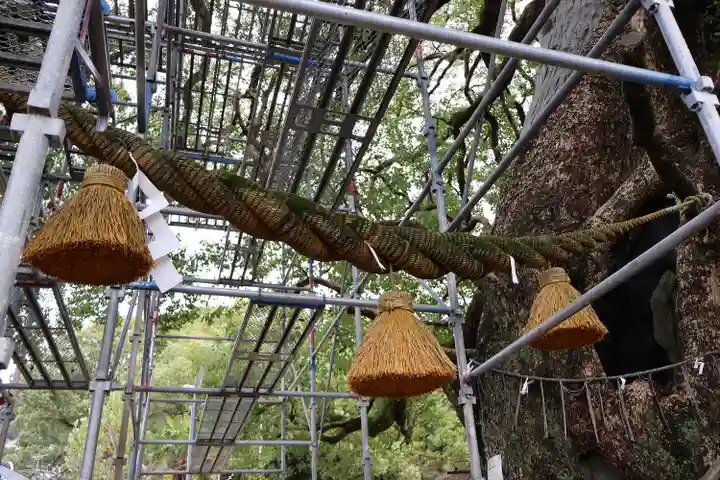 山王神社の自然