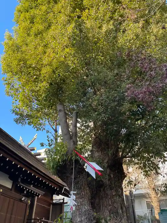 三輪神社(愛知県)