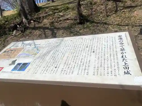 眞田神社の{uncategorized: "未分類", other: "その他", undefined: "問題あり", building: "その他建物", grave: "お墓", sacred_gate: "鳥居", guardian: "狛犬", statue: "像", buddha: "仏像", history: "歴史", nature: "自然", garden: "庭園", animal: "動物", pagoda: "塔", temizu: "手水舎", mountain_gate: "山門・神門", sanctuary: "本殿・本堂", subordinate: "末社・摂社", art: "芸術", scenery: "景色", jizo: "地蔵", ema: "絵馬", goshuin: "御朱印", omikuji: "おみくじ", items: "授与品その他", amulet: "お守り", goshuincho: "御朱印帳", eats: "食事", festival: "お祭り", votive_dance: "神楽", shichigosan: "七五三参", wedding: "結婚式", experience: "体験その他", initially: "初詣", around: "周辺", anti_infection: "感染症対策"}