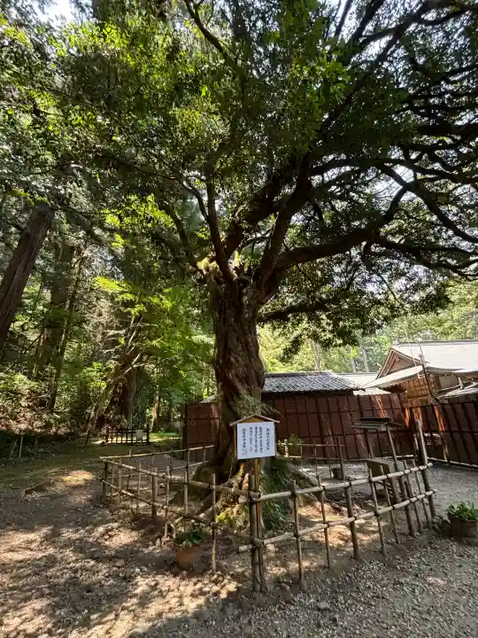 小國神社(静岡県)