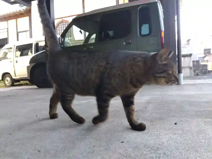 正覚寺(福井県)