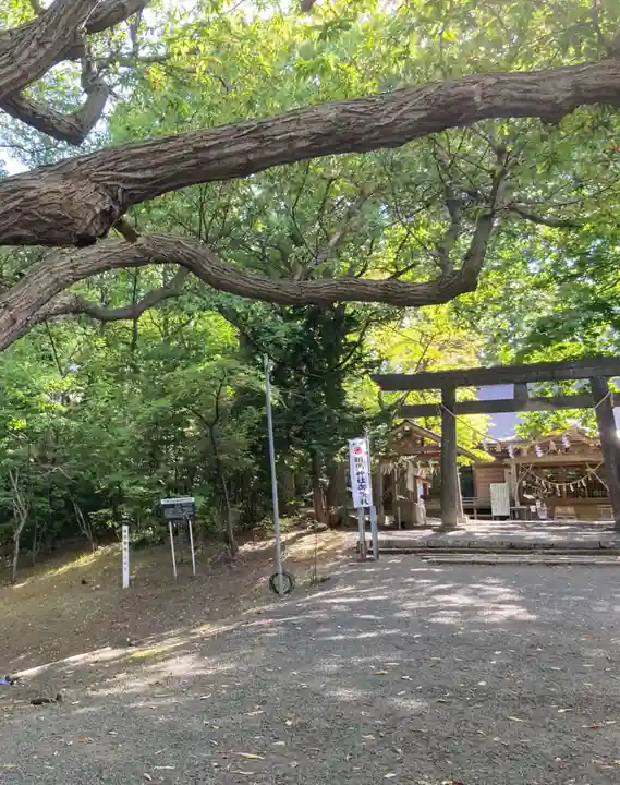 相馬神社のその他建物