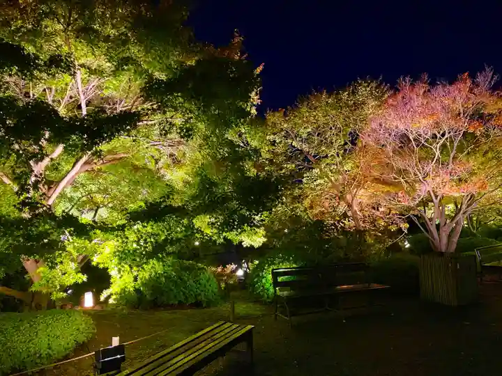 東寺(教王護国寺)(京都府)