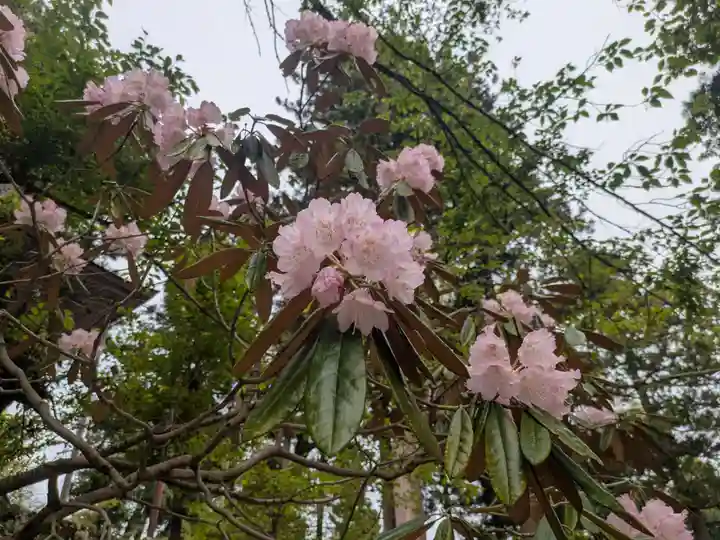 成相寺(京都府)