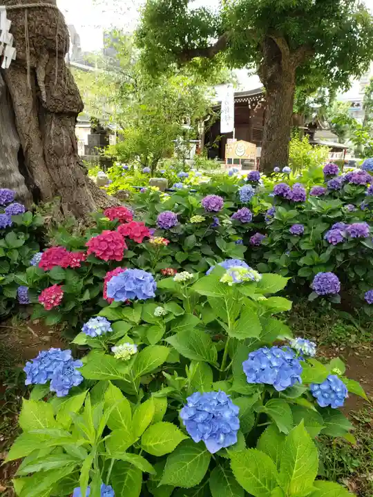 磐井神社(東京都)