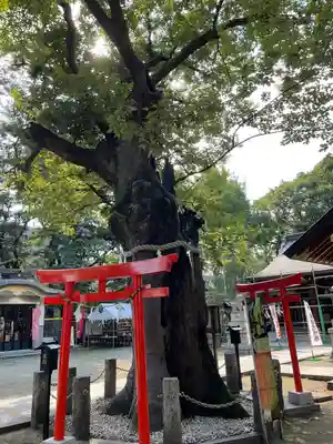 新田神社(東京都)