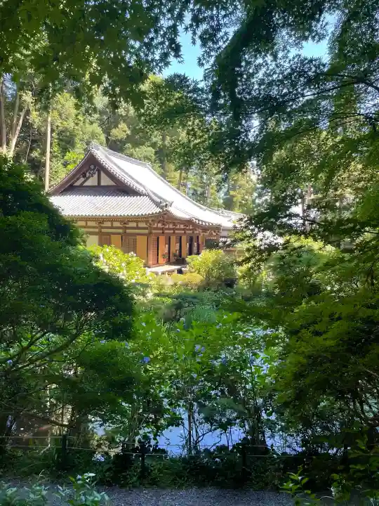 岩船寺の{uncategorized: "未分類", other: "その他", undefined: "問題あり", building: "その他建物", grave: "お墓", sacred_gate: "鳥居", guardian: "狛犬", statue: "像", buddha: "仏像", history: "歴史", nature: "自然", garden: "庭園", animal: "動物", pagoda: "塔", temizu: "手水舎", mountain_gate: "山門・神門", sanctuary: "本殿・本堂", subordinate: "末社・摂社", art: "芸術", scenery: "景色", jizo: "地蔵", ema: "絵馬", goshuin: "御朱印", omikuji: "おみくじ", items: "授与品その他", amulet: "お守り", goshuincho: "御朱印帳", eats: "食事", festival: "お祭り", votive_dance: "神楽", shichigosan: "七五三参", wedding: "結婚式", experience: "体験その他", initially: "初詣", around: "周辺", anti_infection: "感染症対策"}