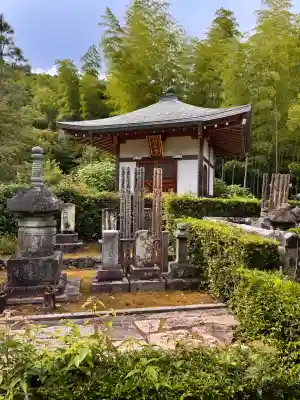 常寂光寺(京都府)