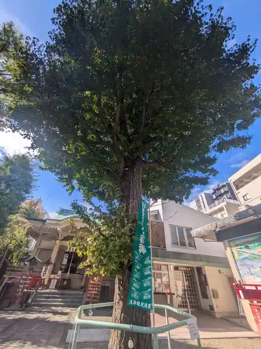 矢先稲荷神社(東京都)