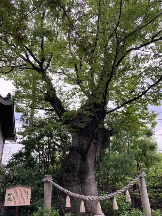溝口神社(神奈川県)