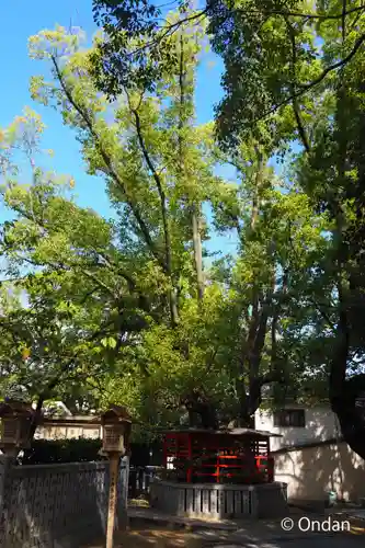 山阪神社(大阪府)