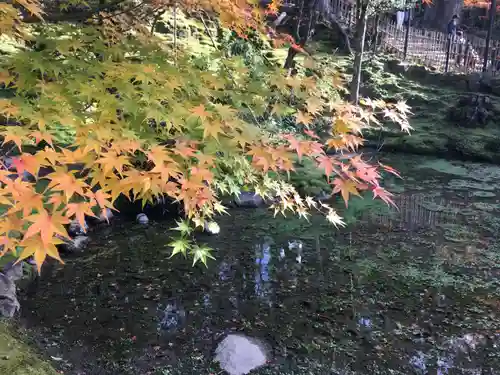 西明寺の庭園