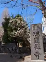 瑞円寺(東京都)