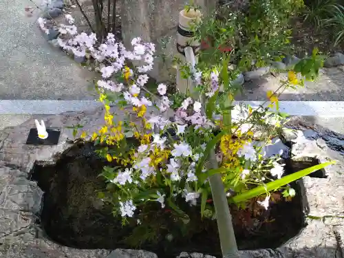 阿智神社の手水