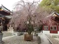 速谷神社(広島県)
