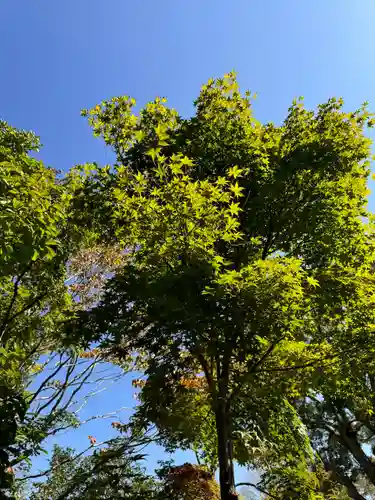 上関山 極楽寺(神奈川県)
