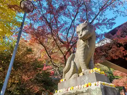 多聞院の狛犬