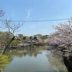 鶴岡八幡宮の庭園