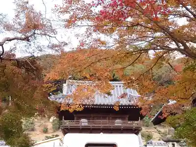 興聖寺(興聖寶林禅寺)(京都府)