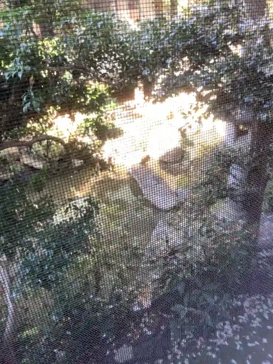 高蔵寺(愛知県)