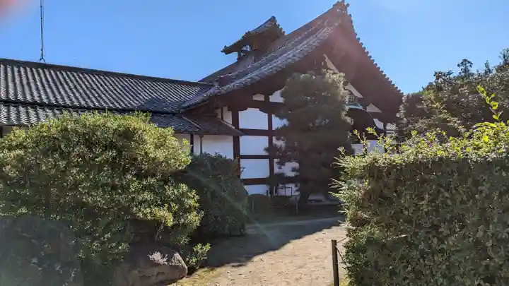 隨心院(随心院)(京都府)