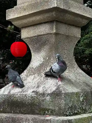 鶴峯山稲荷社（平塚八幡宮境内社）(神奈川県)