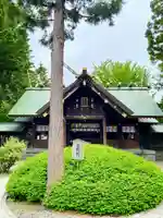 琴似神社(北海道)