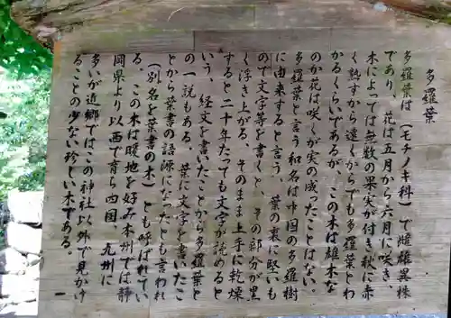 丹生川上神社（下社）(奈良県)