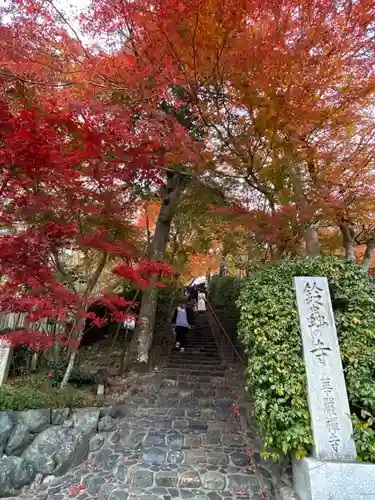 華厳寺（鈴虫寺）(京都府)