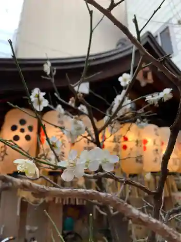 錦天満宮の自然