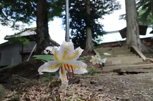 高松神社の景色