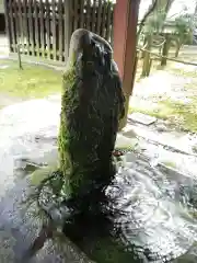 稲田禅房西念寺（稲田御坊）の手水