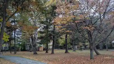 十勝護国神社の自然