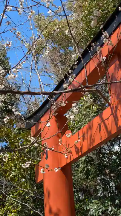 平野神社(京都府)