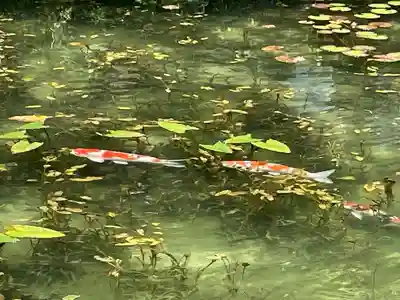 根道神社(岐阜県)