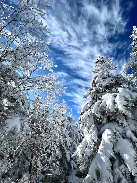 山家神社奥宮の自然