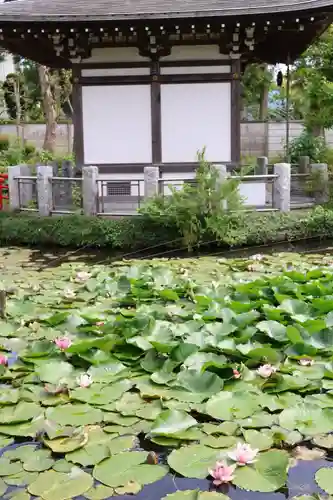 圓照寺(埼玉県)